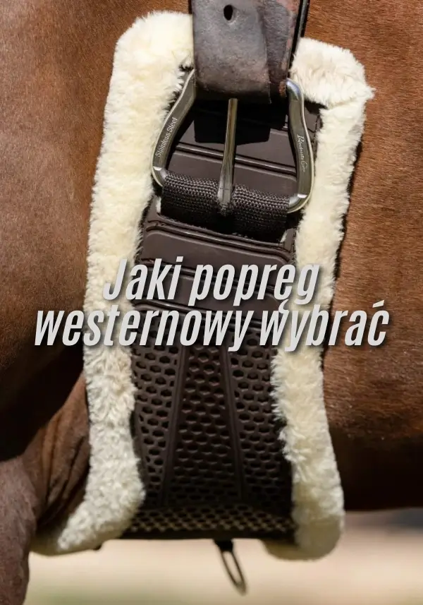 Jaki popręg westernowy wybrać?