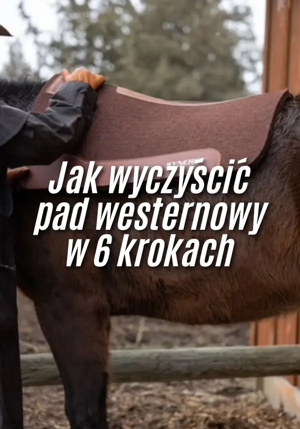 Jak wyczyścić pad westernowy w 6 krokach