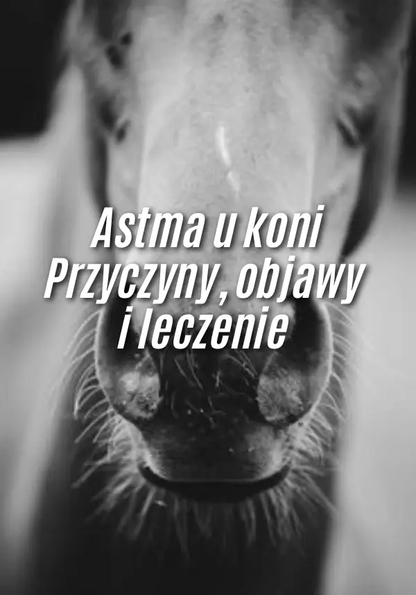 Astma u koni – przyczyny, objawy i leczenie