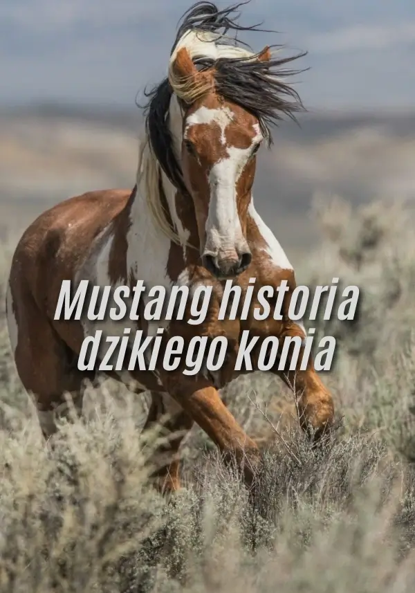 Mustang historia dzikiego konia