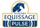 ŚWIAT WESTERNU- Masażer Niagara Equissage Pulse