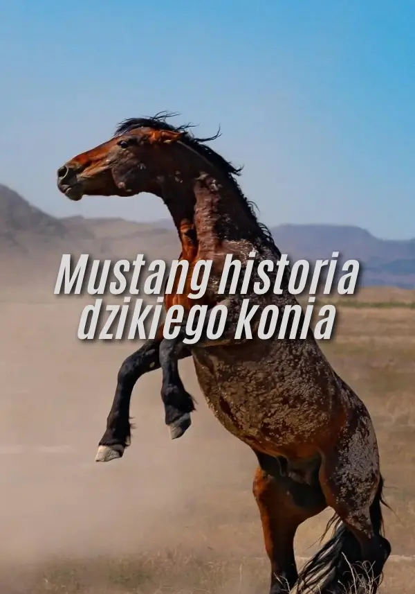 Mustang historia dzikiego konia