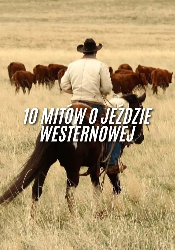 10 mitów o jeździe westernowej