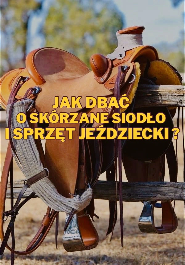 Jak dbać o skórzane siodło i sprzęt jeździecki?