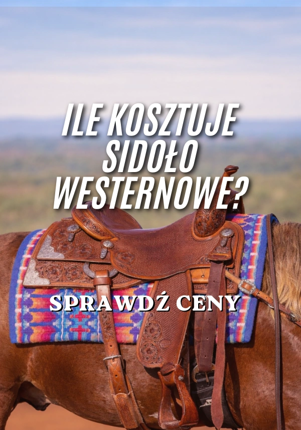 Ile kosztuje siodło westernowe? Sprawdź ceny