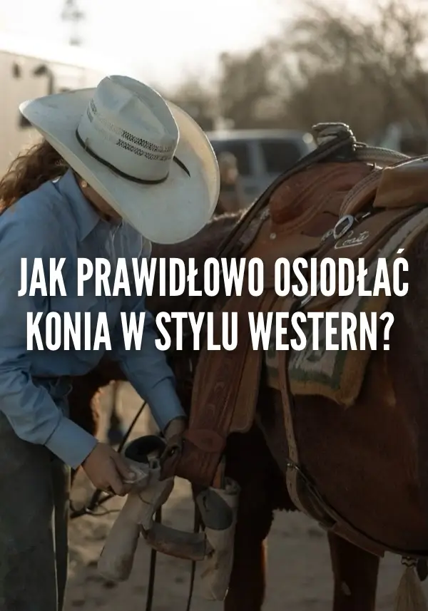 Jak prawidłowo osiodłać konia w stylu western?