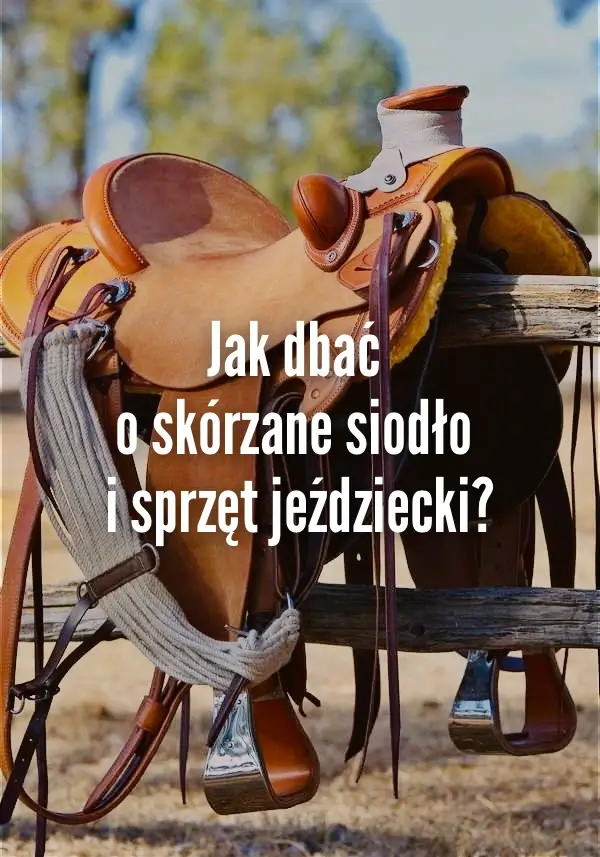 Jak dbać o skórzane siodło i sprzęt jeździecki?