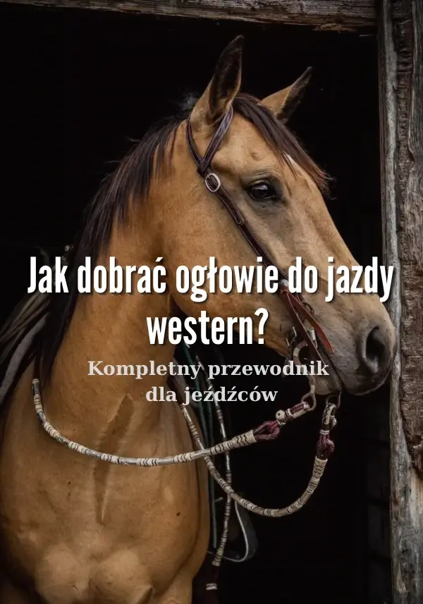 Jak dobrać ogłowie do jazdy western? Przewodnik