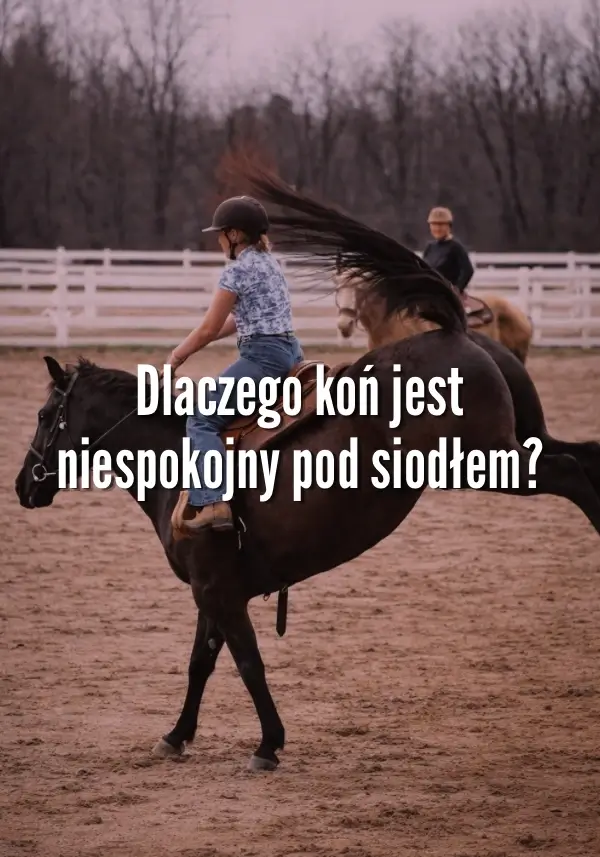 Dlaczego koń jest niespokojny pod siodłem?